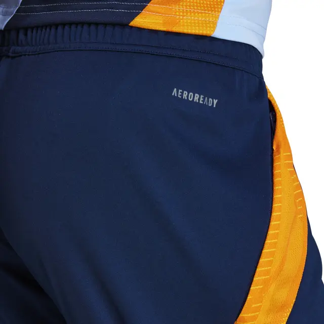 Herren Real Madrid 2024/25 Drittes Authentische Trainingsshorts - Navy