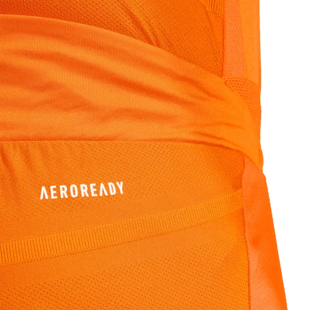 Herren Real Madrid 2024/25 Auswärtsshorts Authentisch